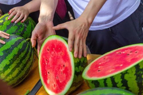 五一吃瓜在线今日吃瓜论坛,在线论坛热议焦点大盘点