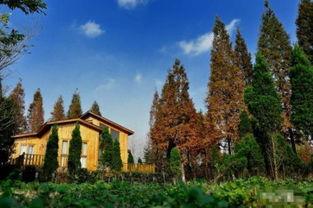 瓜州隶属于今日在哪儿,穿越时空的丝绸之路明珠