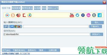 稞麦视频下载器,轻松实现视频下载，畅享影视资源
