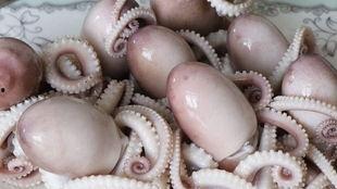 网红八爪鱼吃瓜爆料是真的吗,真相揭秘