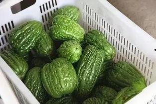 国产黑料tz吃瓜地址,tz吃瓜事件背后的真相与争议