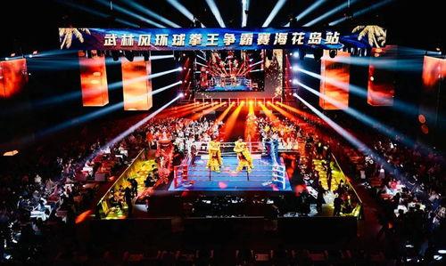 武林风2004年视频,激战风云，传奇拳手巅峰对决