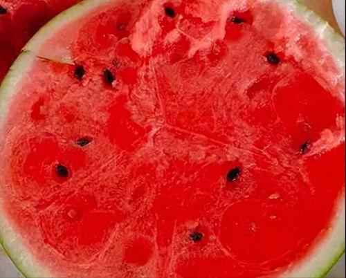 胃炎可以吃黑瓜吗小孩,黑瓜适宜与否解析