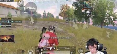 和平精英吃瓜爆料雪姐,和平精英幕后风云大揭秘