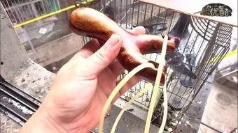 弹弓视频,视频教学带你轻松上手