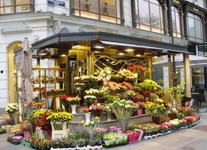 今日吃瓜-唐山花店,今日吃瓜，花艺生活新风尚