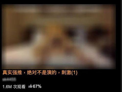 黄色视频在哪里看,揭秘网络暗流涌动的秘密世界