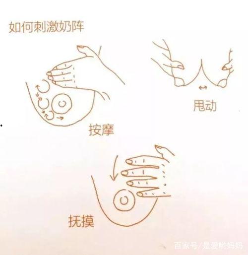 通乳视频,轻松掌握母乳喂养技巧