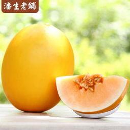 金红宝蜜瓜今日多少钱一斤,价格几何，甜蜜来袭！”