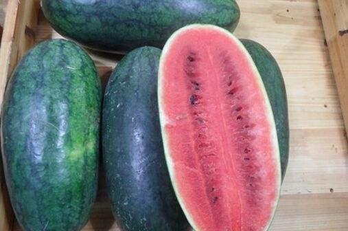 黑料吃瓜appios,揭秘娱乐圈幕后真相，iOS版全新上线！