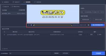 提取网站视频,从网络视频内容中提炼的精彩概述