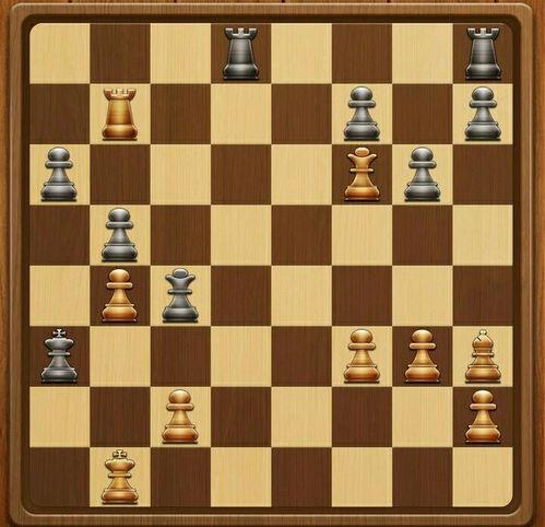 国际象棋对局视频