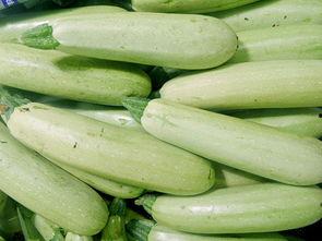 云南今日小瓜价格表,市场行情一览