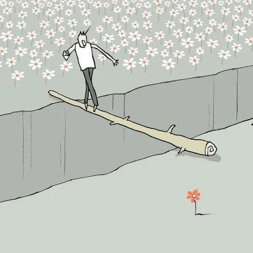 性插图视频,内容、影响与伦理探讨