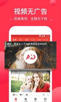 西瓜视频软件,短视频时代的潮流引领者