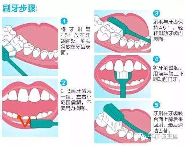 巴氏刷牙法视频,高效口腔护理技巧全解析