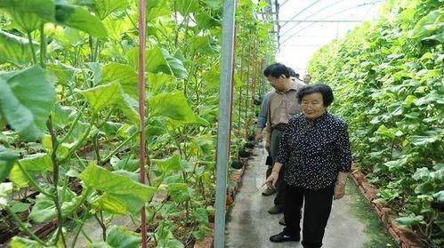 吴忠吃瓜最新事件爆料是真的吗,真相揭秘还是网络谣言？