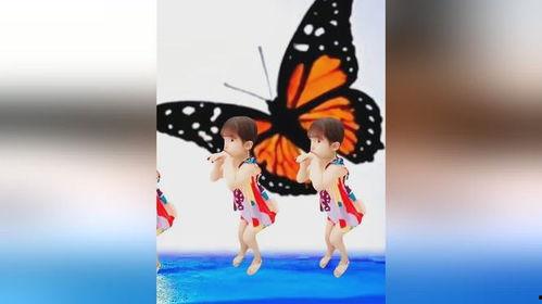 两只老虎舞蹈教学视频,轻松学会两只老虎经典舞步