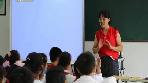 老师讲课视频,老师授课内容概览