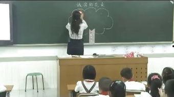 老师讲课视频,老师授课内容概览