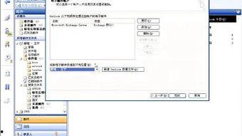 word文档视频,Word文档视频概述