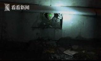 枪打老鼠视频,惊险刺激的狩猎瞬间