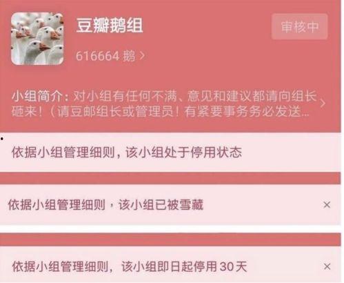 今日头条豆瓣吃瓜,豆瓣吃瓜群众热议娱乐圈最新动态