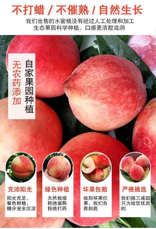 水密桃视频,揭秘桃子界的“水密”之谜