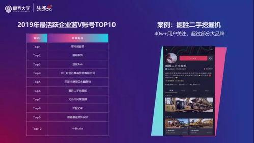 538在线视频,深度解析热门话题，带你领略知识魅力