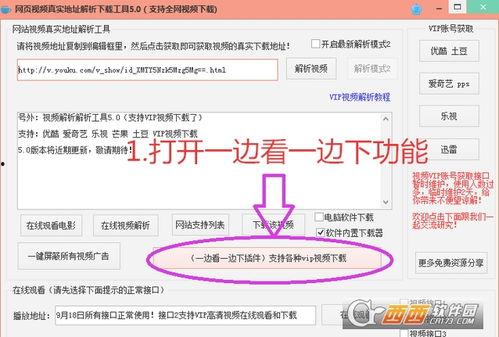 网页视频解析下载,轻松获取心仪视频