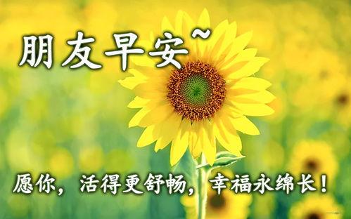 早上好短视频,探寻“早上好”短视频的魅力