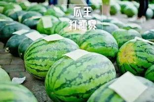 今日吃瓜6月2日,今日吃瓜大揭秘，热点事件一网打尽