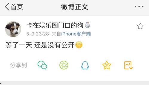 爆料吃瓜校园在线观看,跟随爆料吃瓜，在线观看校园秘闻