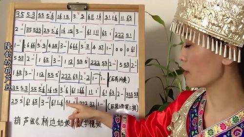 葫芦丝入门教学视频,入门教学视频精华解析