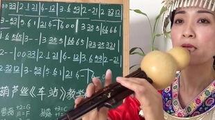 葫芦丝入门教学视频,入门教学视频精华解析