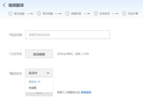 视频翻译字幕软件,智能翻译软件的革新之旅