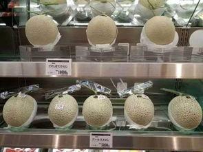 网纹蜜瓜今日行情,价格波动与市场趋势解析