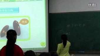 观察种子的结构实验视频,实验视频揭示种子结构全解析