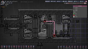 缺氧教学视频,揭秘人体缺氧的奥秘与应对策略